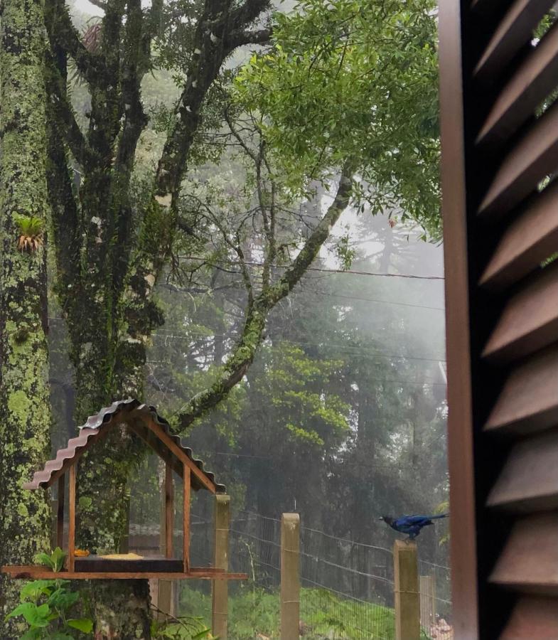 Recanto Das Gralhas Sao Francisco de Paula  Bagian luar foto